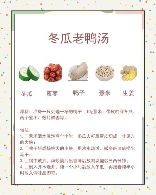 冬瓜鸭肉怎么做？家常做法有哪些？-图2