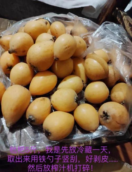 宝宝咳嗽 金桔 枇杷-图1 宝宝咳嗽 金桔 枇杷-图1