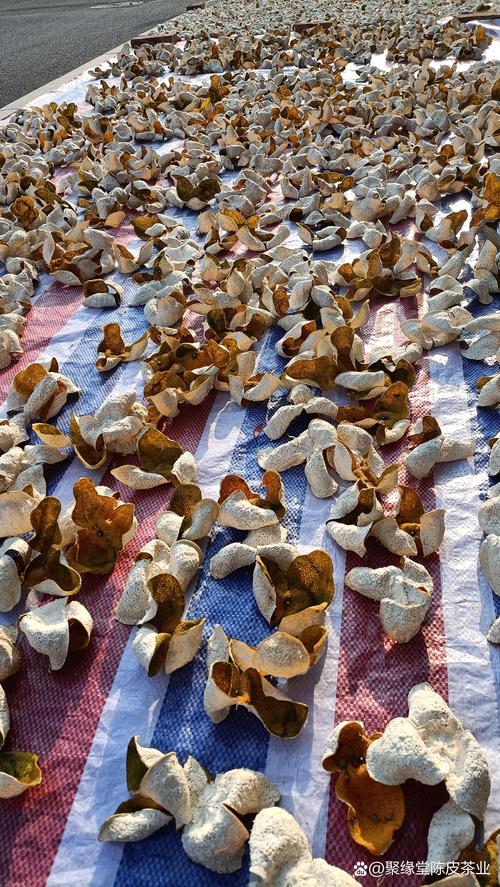 宝宝咳嗽怎么用陈皮核桃?-图1 宝宝咳嗽怎么用陈皮核桃?-图1