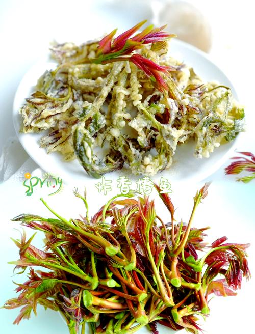 香椿和海鲜能一起吃吗?-图1 香椿和海鲜能一起吃吗?-图1