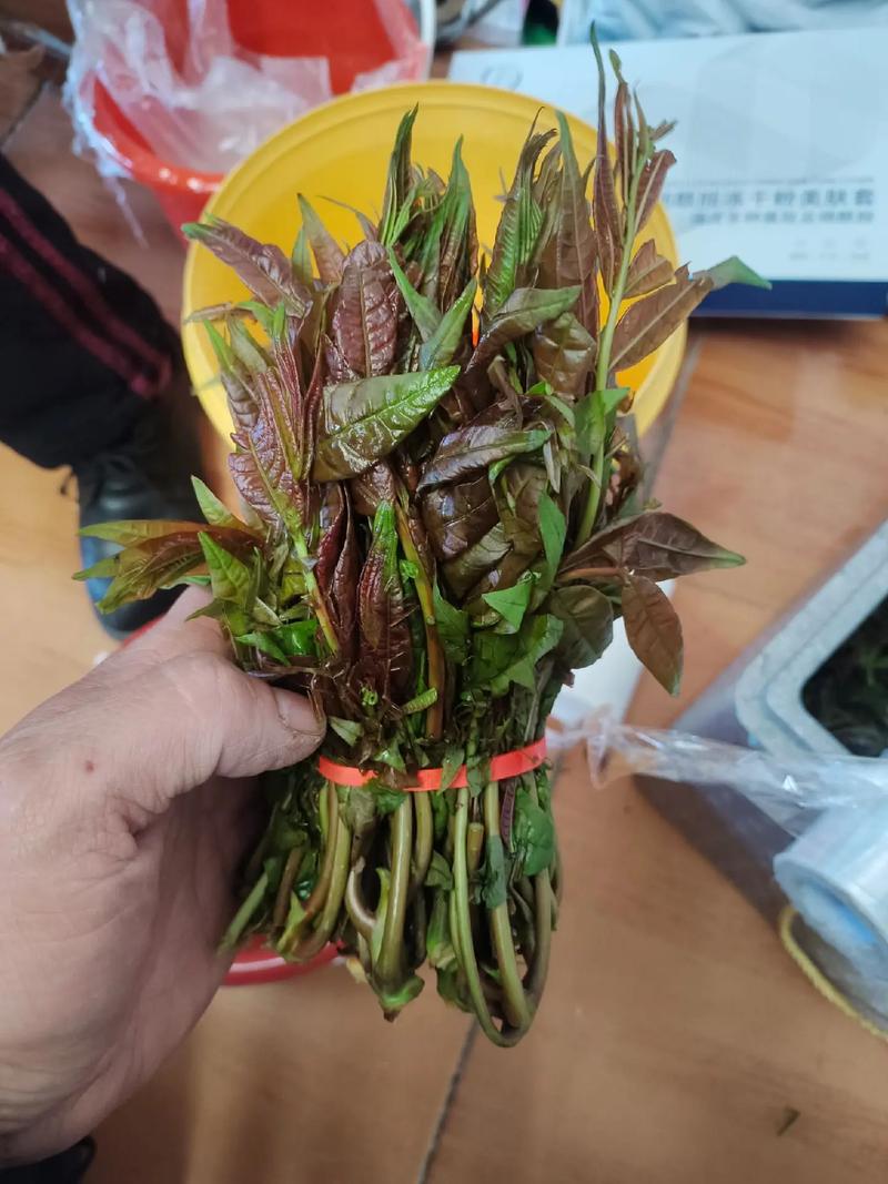 香椿和海鲜能一起吃吗?-图2 香椿和海鲜能一起吃吗?-图2