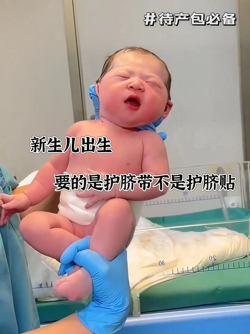 宝宝蹄带能给宝宝喝吗？-图2