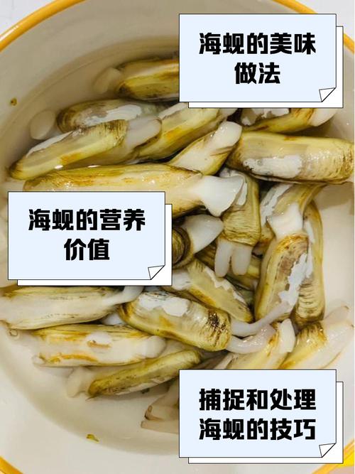 卤味海鲜贝壳做法有哪些？-图2