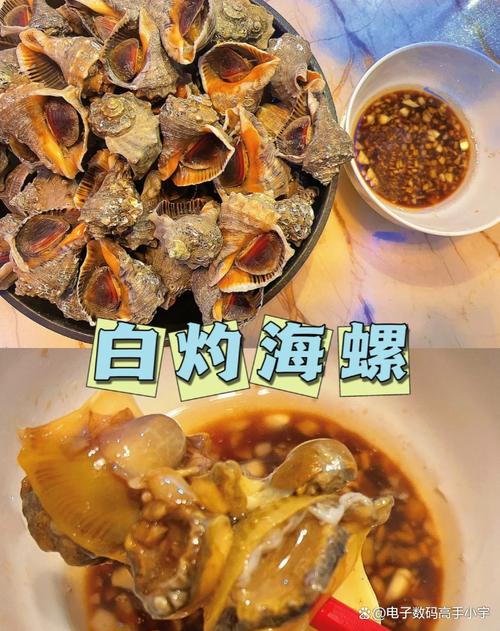 大海螺家常做法有哪些？-图2