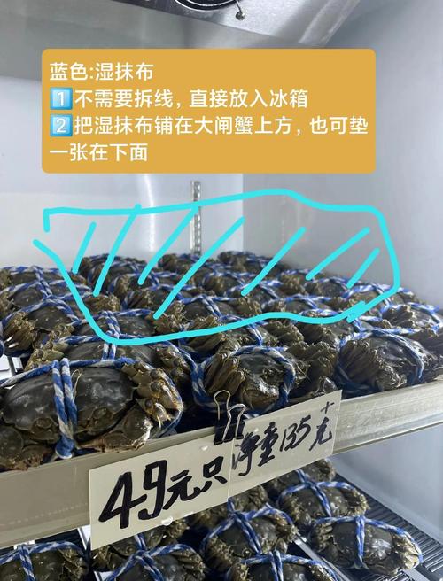海鲜冷藏冰箱怎么放才保鲜？-图1