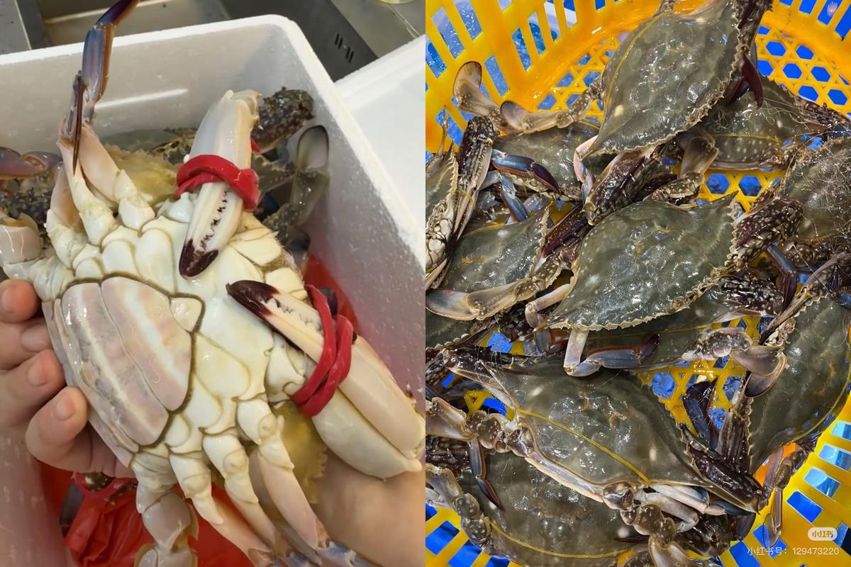 海鲜冷藏冰箱怎么放才保鲜？-图3