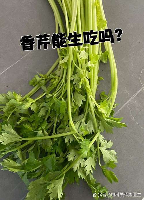 十个月宝宝能吃香芹吗？-图3