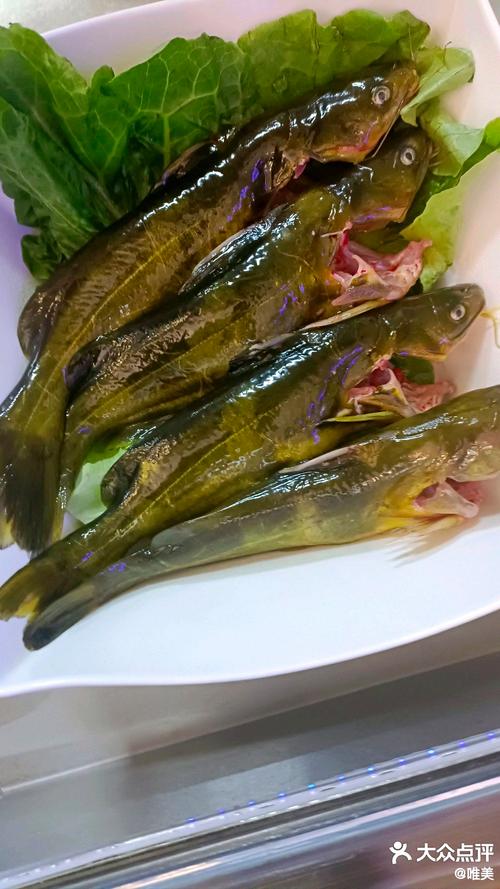 七个月宝宝能吃汪丫鱼辅食吗？-图1