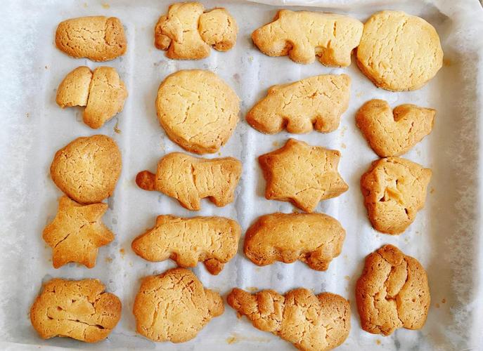 三个月的宝宝吃啥饼干-图1