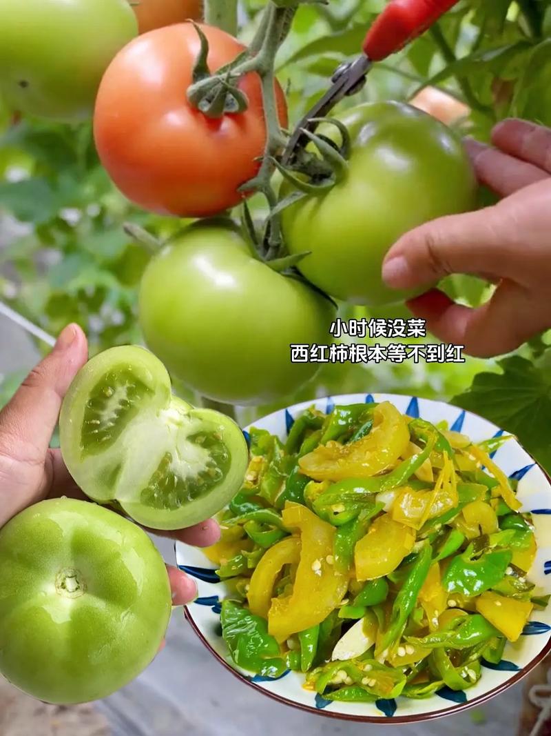 青椒西红柿家常做法有哪些？-图2