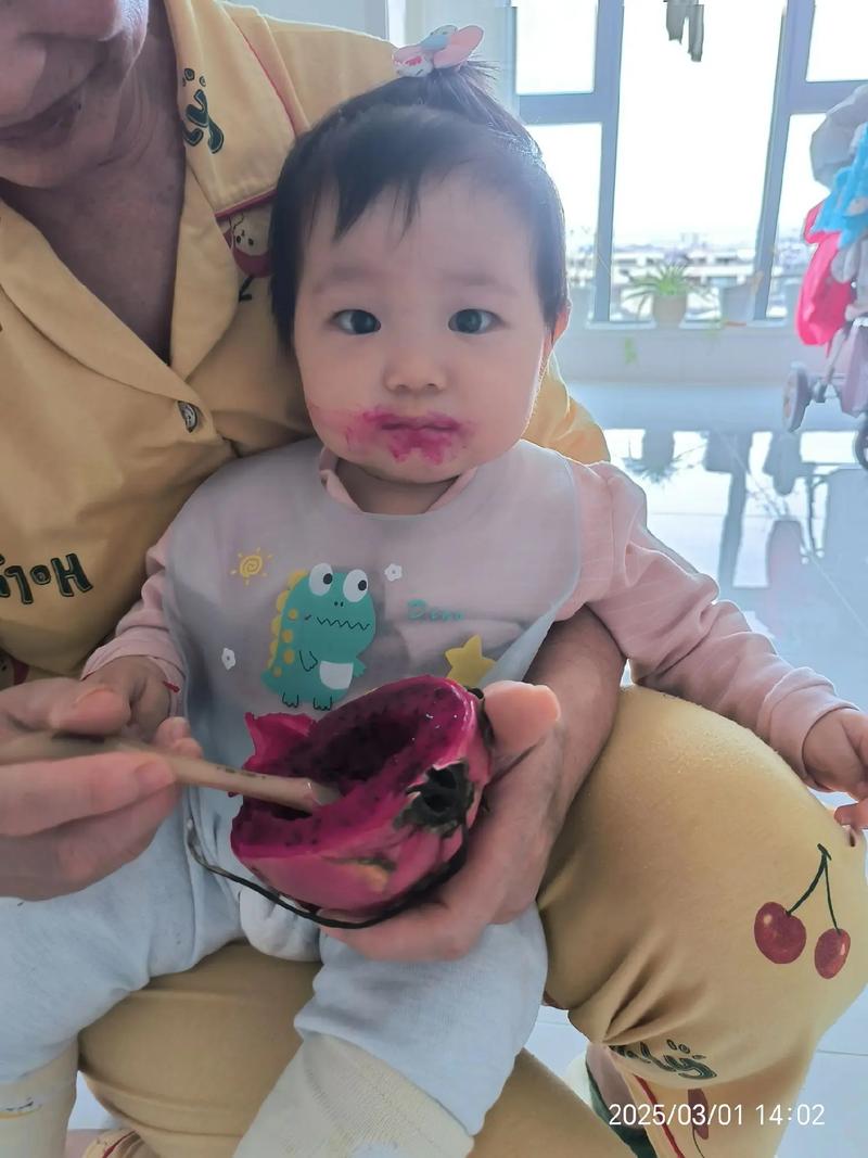 十个月宝宝火龙果怎么吃才合适？-图1