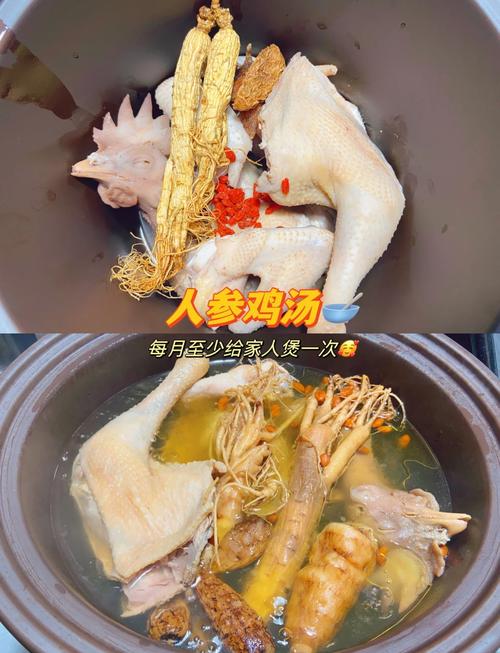 家常炖鸡汤做法有哪些？-图3