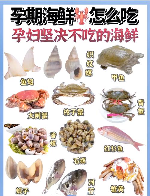 海鲜蔬菜营养比，哪个更优？-图2