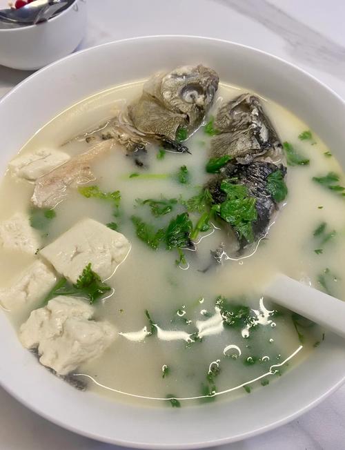 鲫鱼豆腐的做法大全家常-图1