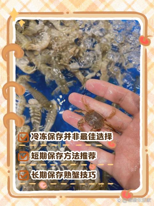 家里活海鲜怎么保存才新鲜？-图2