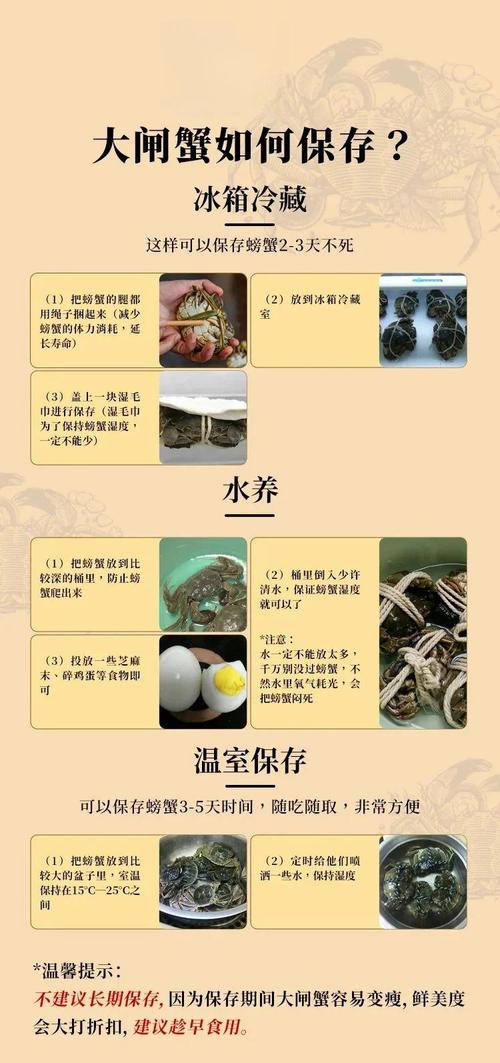 家里活海鲜怎么保存才新鲜？-图3