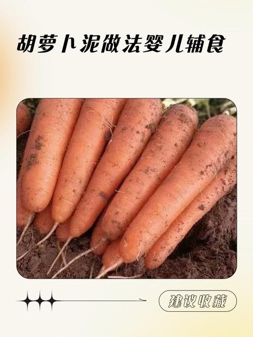 六个月宝宝吃胡萝卜泥，怎么做好？-图3