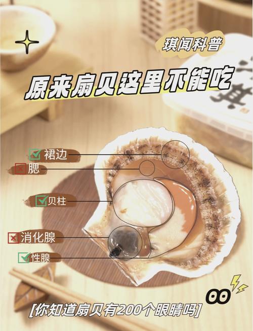 扇贝为何鲜味尽失？-图1