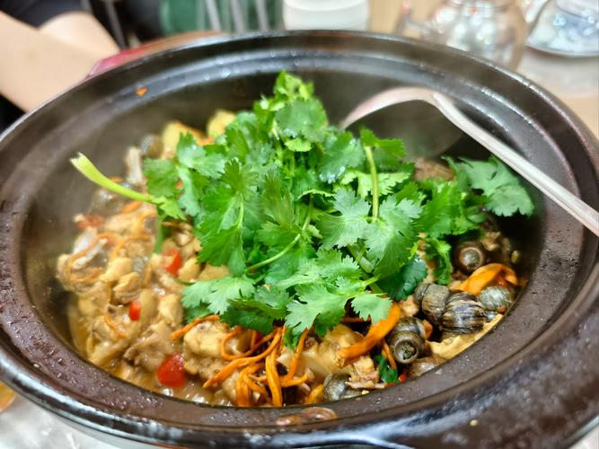 玉林大肉田螺海鲜鸡煲，是玉林招牌吗？-图3