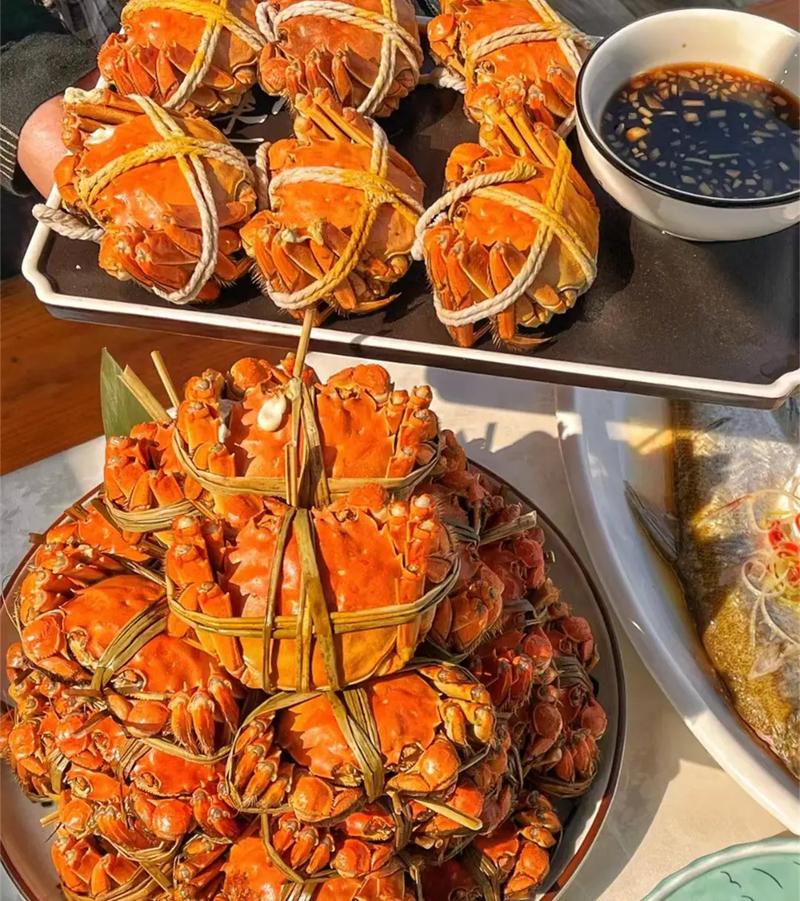 阳澄湖大闸蟹属于海鲜吗？-图2
