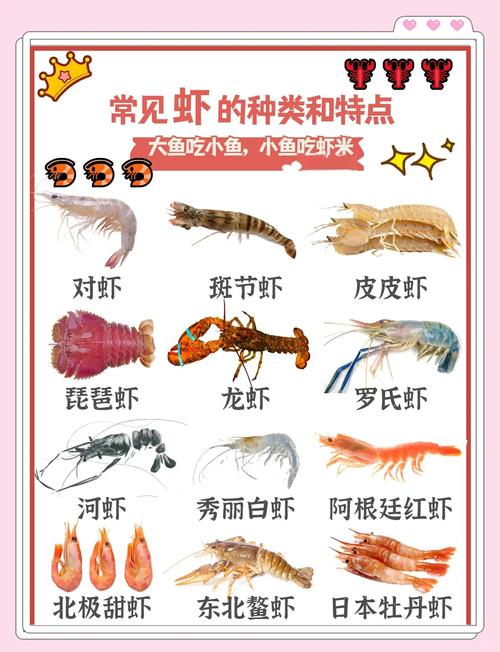 海鲜虾不能和哪些食物同吃？-图2