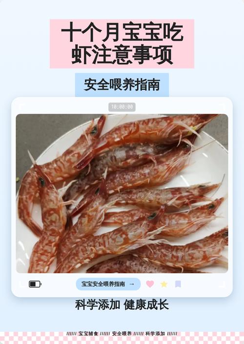 十个月宝宝吃虾怎么吃才安全又营养？-图2
