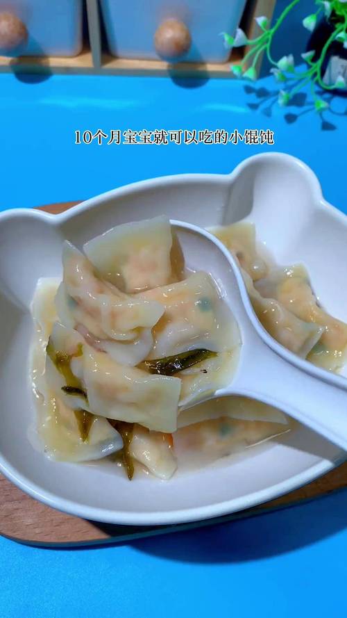 十个月宝宝能吃素馄饨吗？-图2