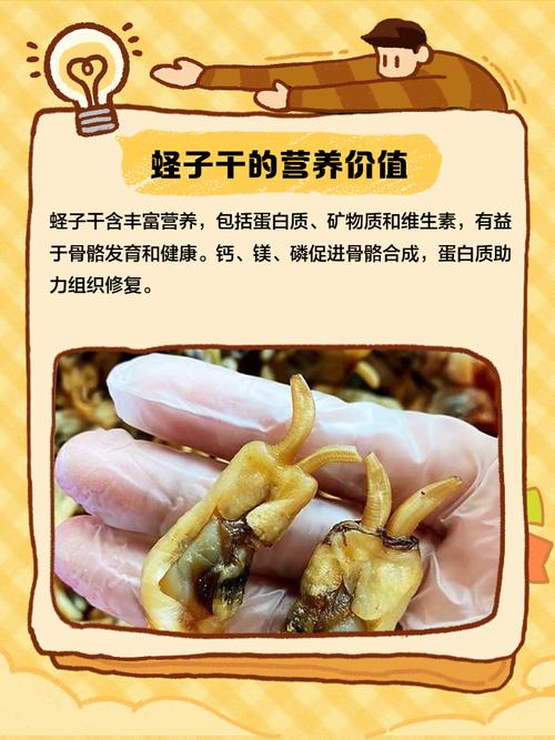 海鲜干货如何制成？-图1