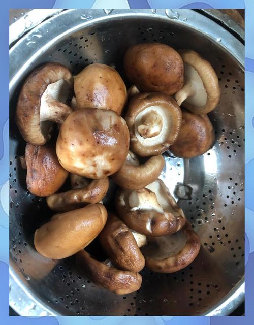 十个月宝宝香菇怎么做好吃又易消化？-图2