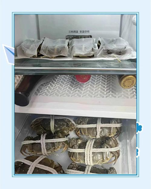 海鲜产品的储存与保管-图1
