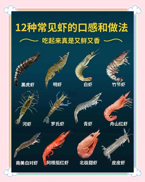 一周岁宝宝怎么吃虾才安全？-图2