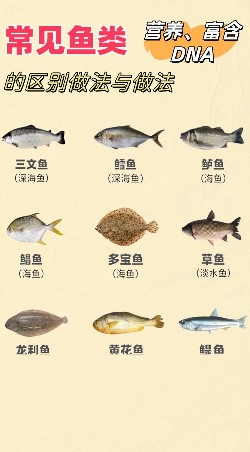 海鲜鱼做法大全，有哪些家常做法？-图3