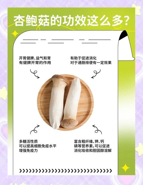 海鲜菇与杏鲍菇功效有何不同？-图1