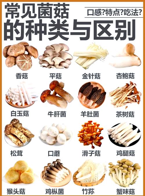 海鲜菇与杏鲍菇功效有何不同？-图3