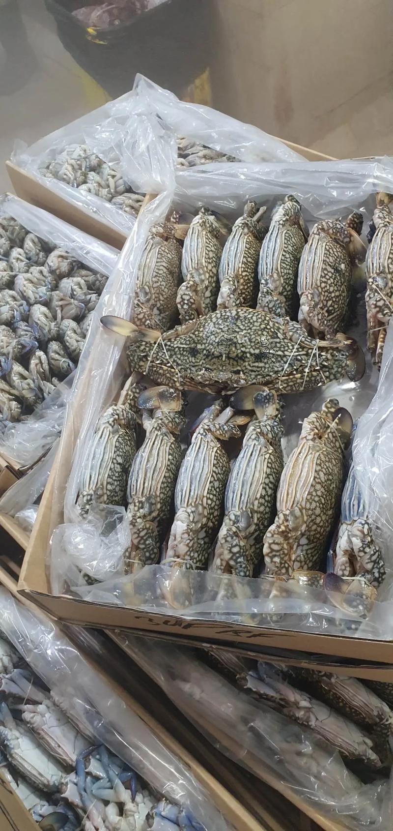 冰上有海鲜？这道菜有何玄机？-图1