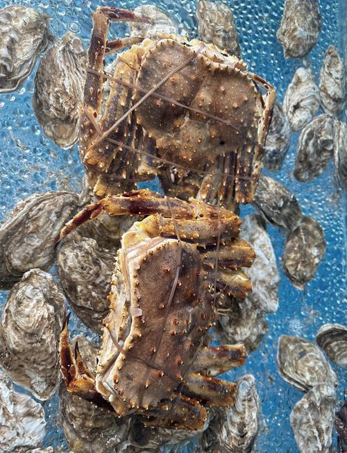 冰上有海鲜？这道菜有何玄机？-图3