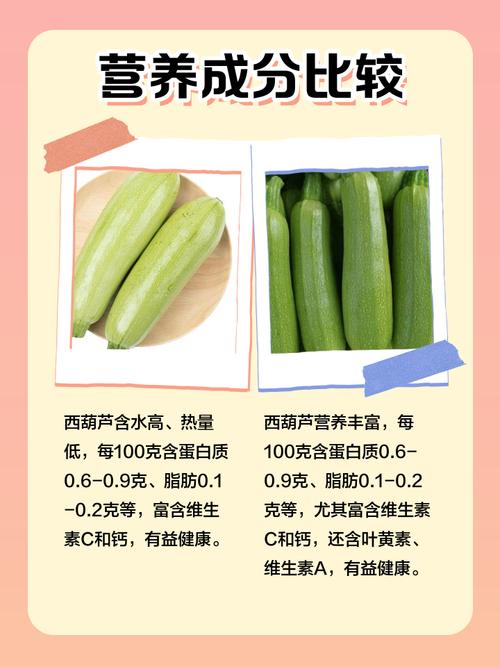 七个月宝宝能吃角瓜吗？-图1