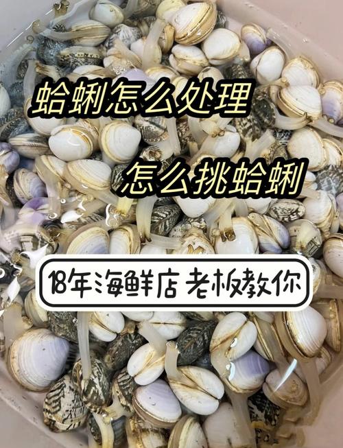 海鲜大哈利怎么处理才正确？-图1
