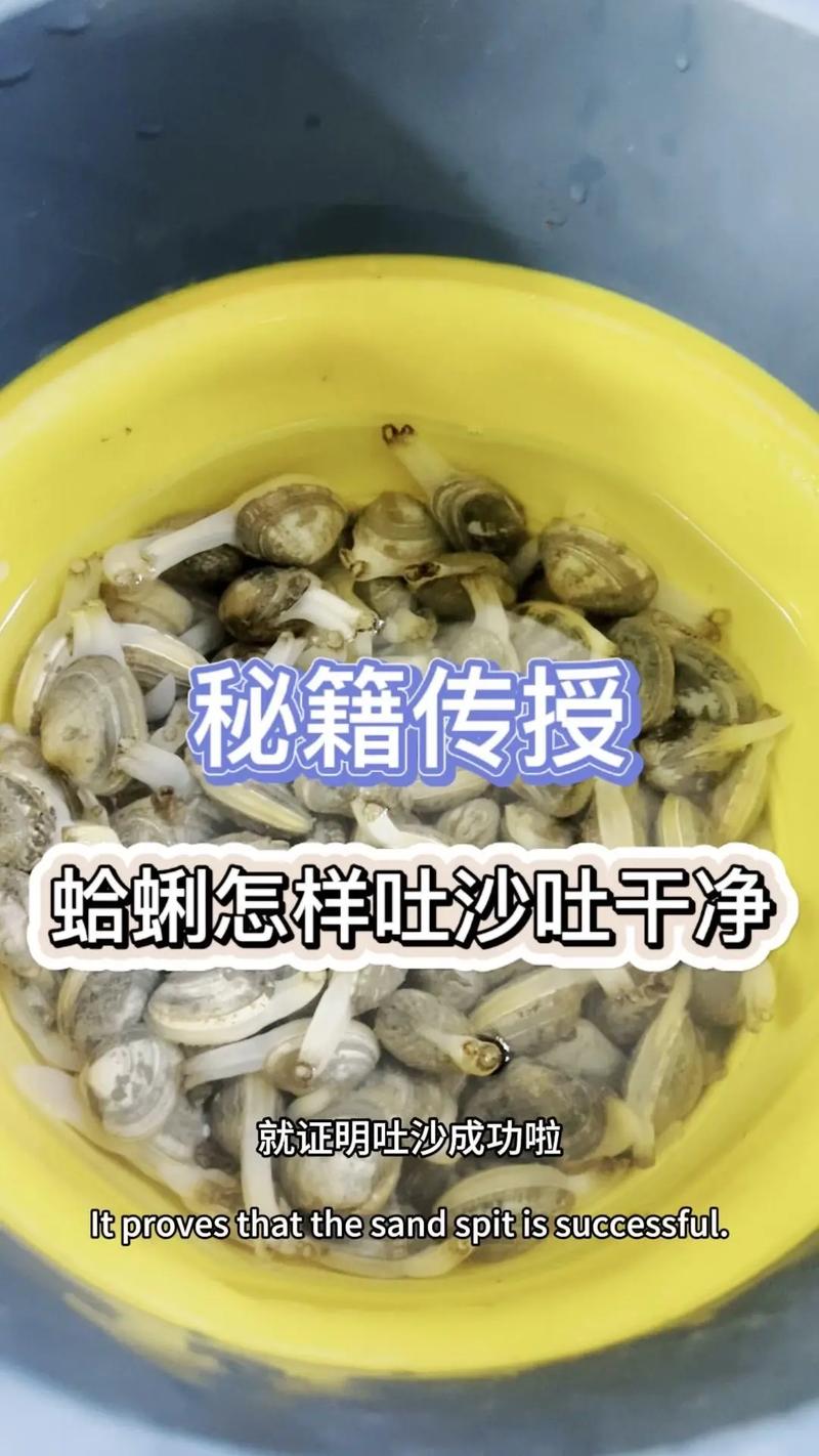 海鲜大哈利怎么处理才正确？-图2