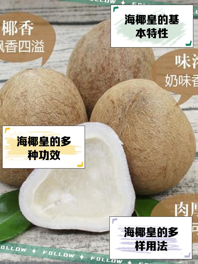 椰子不能和海鲜同吃吗-图1