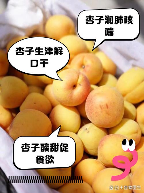 海鲜杏子同食会中毒吗？-图1