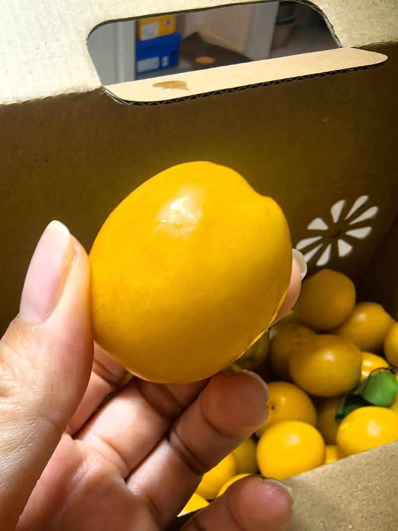 海鲜杏子同食会中毒吗？-图3