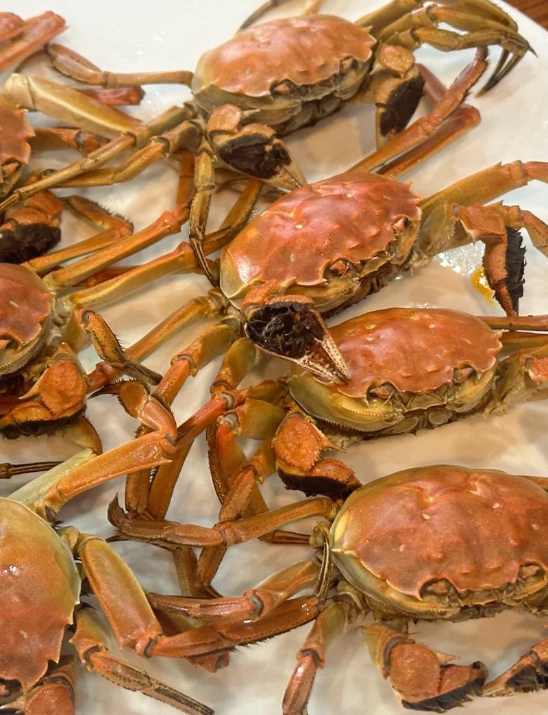 实拍海鲜螃蟹美食，如何拍出诱人质感？-图3