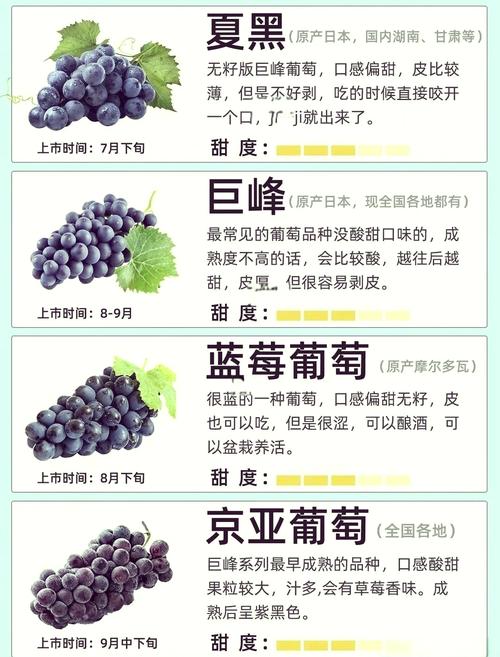 葡萄可以和海鲜同吃吗-图1