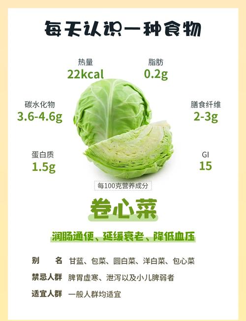 海鲜和卷心菜能同吃吗-图1