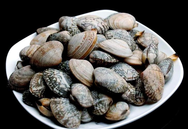 常见贝类海鲜有哪些？-图2