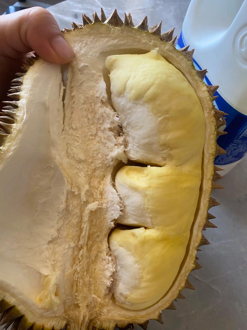 牛奶榴莲海鲜同食会引发不适吗？-图1