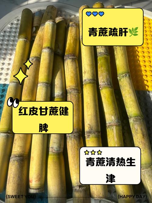 海鲜配甘蔗会相克吗?-图3 海鲜配甘蔗会相克吗?-图3