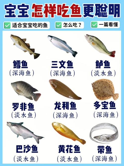 宝宝辅食一顿吃多少鱼合适?-图3 宝宝辅食一顿吃多少鱼合适?-图3
