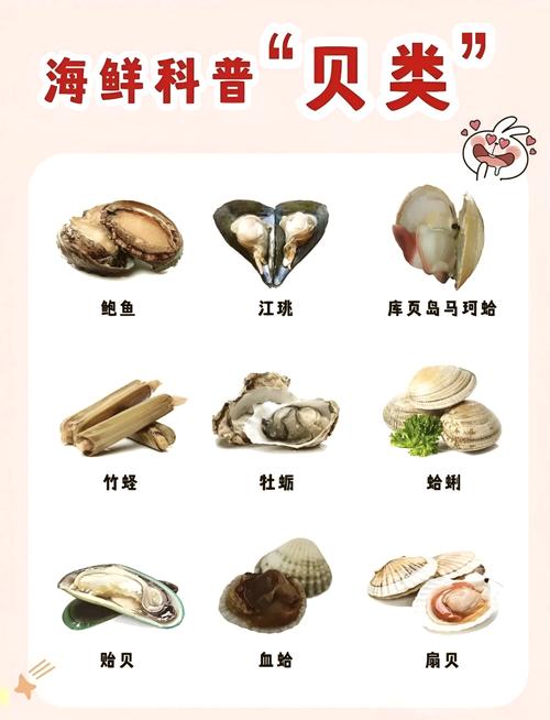 贝类海鲜怎么做才好吃？-图2